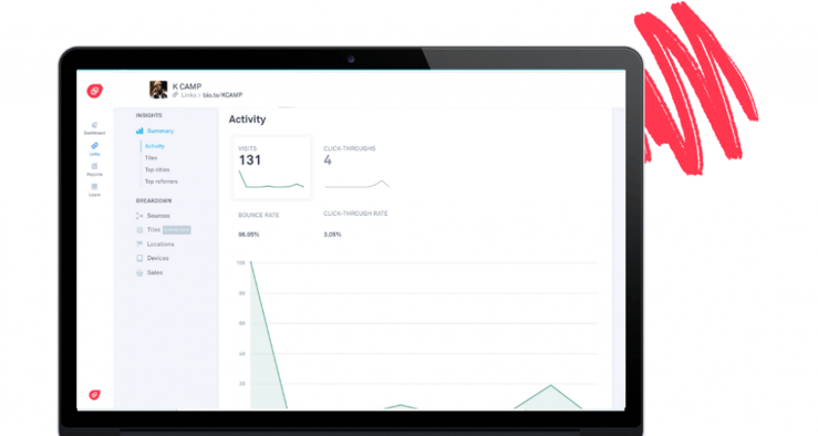 bio link audience insights